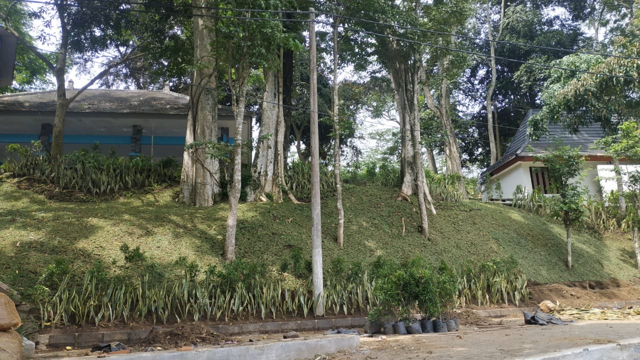 Hero Section Taman Selokambang