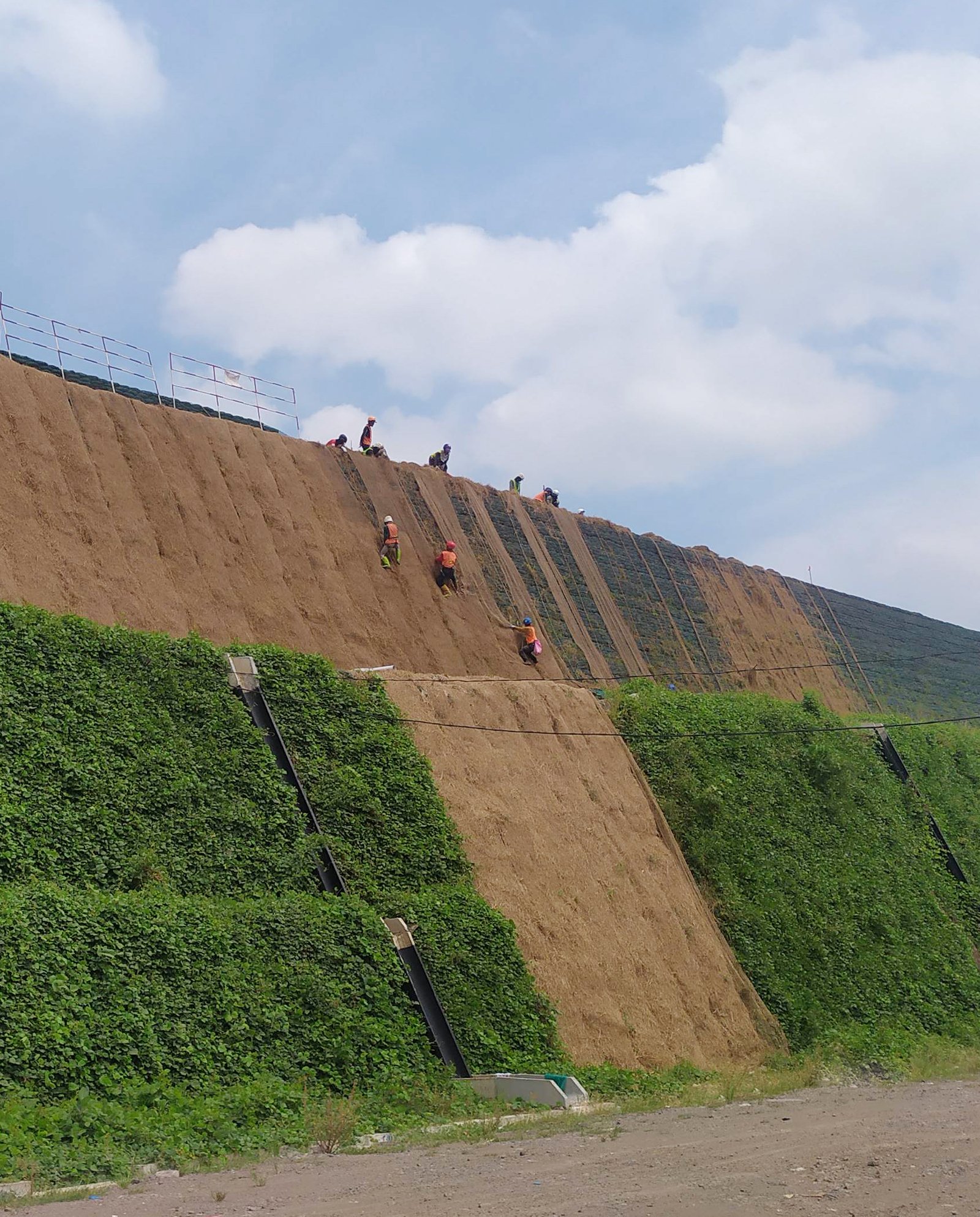 Hero Product Hydroseeding