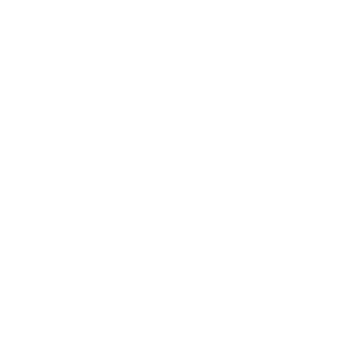 Logo Instag